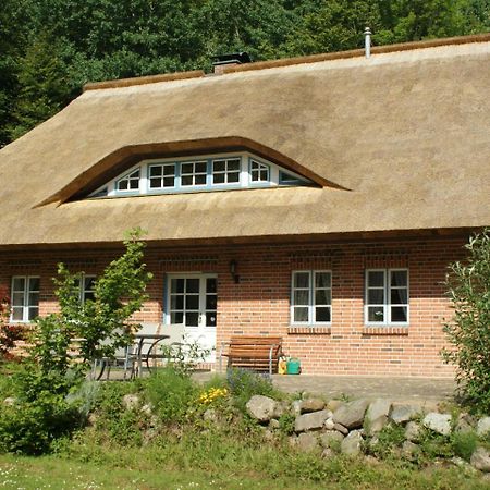 Premiumwohnung Im Biosphaerenreservat Vilmnitz Extérieur photo